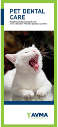 Brochure of white cat with mouth open